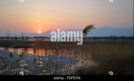 (190321) -- BEIJING, March 21, 2019 (Xinhua) -- Photo taken with a mobile phone shows the sunset at Beijing Wild Duck Lake National Wetland Park in Beijing, capital of China, March 17, 2019. (Xinhua/Meng Chenguang) Stock Photo