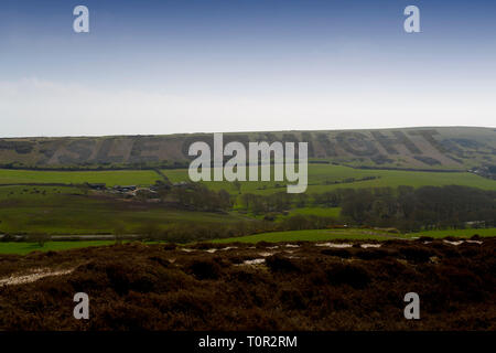 The,words,Isle,of,Wight,made,out,of gorse,on,hillside,Tennyson,Down,The,Needles,Alum,Bay,Isle of Wight,England,UK, Stock Photo