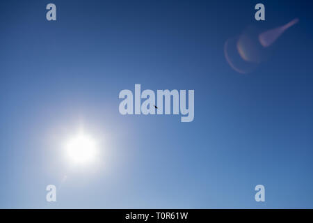 Eagle - Bald Eagle Flying Through Clear Blue Sky between lights - Sun - Flare - Image Stock Photo