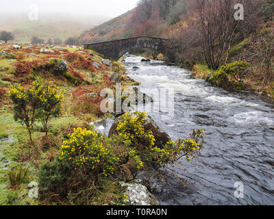 Stone arch footbridge over the West Okement River, Dartmoor National Park, Devon, UK Stock Photo