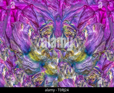 Fine art floral colorful background abstract pattern created from a parrot tulip blossom in bright pop-art colors Stock Photo