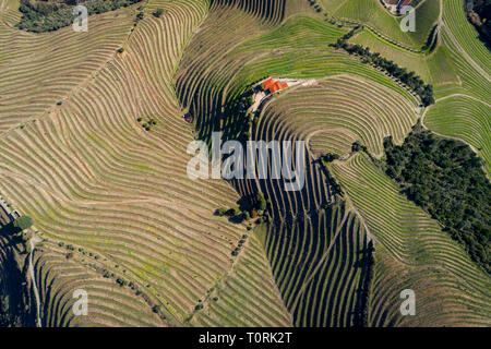 Aerial view of the terraced vineyards in the Douro Valley near the village of Pinhao, Portugal; Concept for travel in Portugal and most beautiful plac Stock Photo