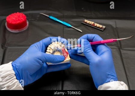 Dental technician or dentist working with tooth dentures in his laboratory Stock Photo