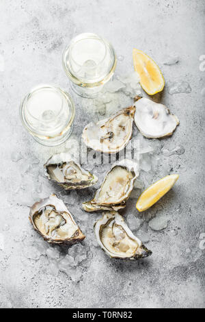 Fresh opened oysters Stock Photo
