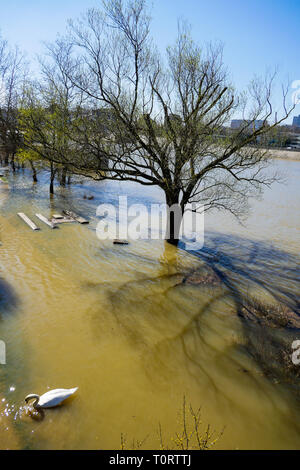 Flooding of river Saone, Lyon, France Stock Photo