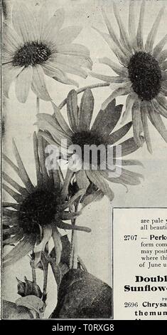 Dreer's garden book  seventy-third Stock Photo