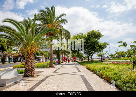 Funchal, Madeira/Portugal-09.05.2019: Av.Do Mar street in center of Funchal by Marina and ocean. Lush palm trees by pavement, sunny day, tourists wond Stock Photo