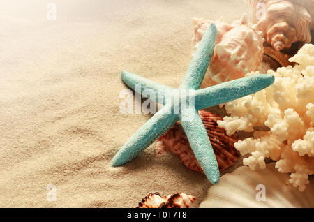 Sea shells with sand as background. Sashells and starfish. Stock Photo