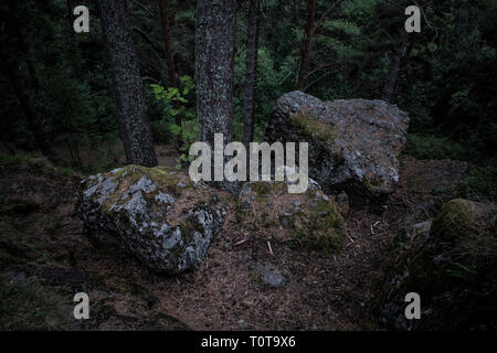 Large stones in the woods awaiting storm Stock Photo