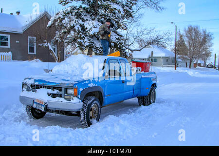 Man standing on top of Chevrolet truck shoveling off snow after a big February winter snow storm, Helena, Montana, USA Stock Photo