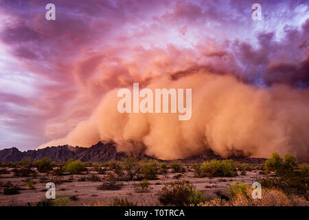 A Haboob dust storm rolls over the Mohawk Mountains ahead of a monsoon thunderstorm near Tacna, Arizona, USA on July 9th, 2018 Stock Photo