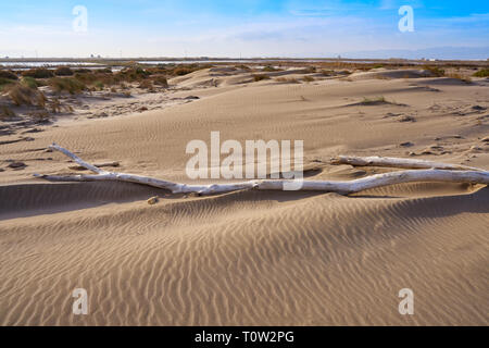 Delta del Ebro Ebre beach Punta del Fangar in Tarragona Costa Dorada Deltebre Stock Photo