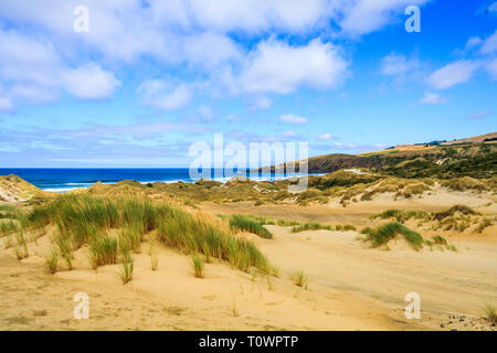 The sand dunes at Sandfly Bay, Otago Peninsular, South Island, New Zealand Stock Photo