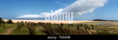 A dramatic coastal Volutus storm cloud, a low, horizontal, tube-shaped type of arcus cloud, also called roll or shelf cloud, Australia, NSW Stock Photo