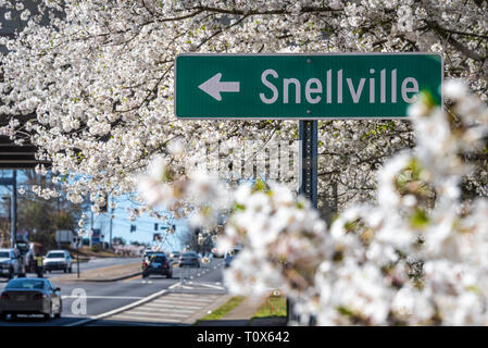 White blossoming cherry trees in full bloom on a beautiful spring day in Metro Atlanta, Georgia. (USA) Stock Photo