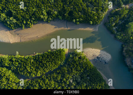 View from above, stunning aerial view of a traditional long tail boat that sails on a serpentine river flowing through a green tropical forest. Stock Photo