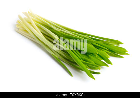 Allium ursinum, known as wild garlic, ramsons, buckrams, broad-leaved garlic, wood garlic, bear leek or bear's garlic. Isolated on white background. Stock Photo