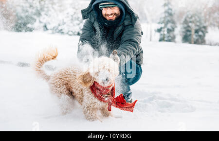 Snowball fight fun with pet and his owner in the snow. Winter holiday emotion. Cute puddle dog and man playing and running in the forest. Film filter  Stock Photo