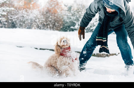 Snowball fight fun with pet and his owner in the snow. Winter holiday emotion. Cute puddle dog and man playing and running in the forest. Film filter  Stock Photo