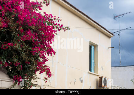 Simple older house with a bush of red bougainvillea with many flowers. Line of a roof and an antenna on the other house. Cloudy sky. Rethymno, Crete,  Stock Photo