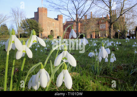 Hodsock Priory near Blyth, Nottinghamshire during their annual Snowdrop Week opening - February, UK, GB