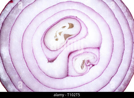 Sliced shallot onion. Red onions sliced top view Stock Photo