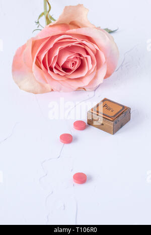 One pink rose with pillbox on white paint background Stock Photo