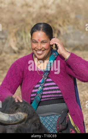 Woman wearing a knitted wool cardigan and pullover top. Bindi mark on the forehead. Mobile phone in use in one hand and resting the other on her tame domestic water buffalo. Stock Photo