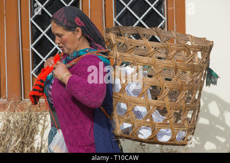 Woman wearing a knitted wool cardigan and pullover top. Knitting whilst she walks to a field plot and harvest vegetables. To be filled an empty hand woven basket on her back. Stock Photo