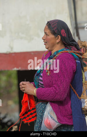 Woman wearing a knitted wool cardigan and pullover top. Knitting whilst she walks to field plot and harvest vegetables. Winter. Rudraprayag-Ukhimath. Northern India. Stock Photo