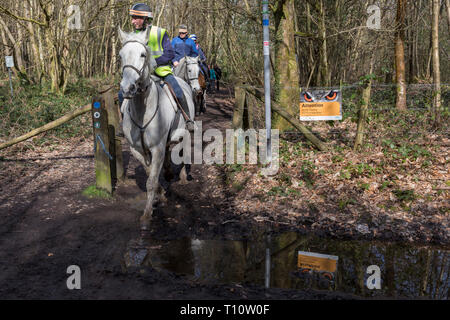 Horses on a bridleway and a sign warning fly-tippers of CCTV coverage on a rural lane in Kent, on 19th March 2019, in Westerham, England. Stock Photo