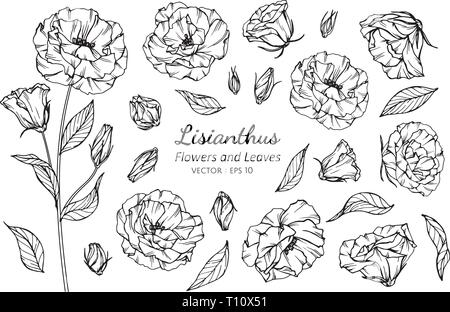 Lisianthus - Daniel Tan - Digital Art, Flowers, Plants, & Trees, Flowers,  Flowers I-Z, Lisianthus - ArtPal