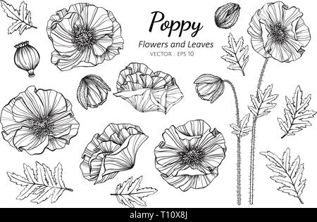 Black-and-white flowers and leaves design element | Flower vector art,  Black and white flowers, Flower drawing