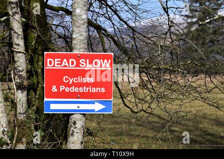 Dead Slow sign in red with white lettering and arrow warning of cyclists and walkers on the road. Nailed to a tree at the roadside. Stock Photo