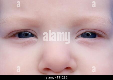 Macro shot of the serious blue eyes of a young baby Stock Photo