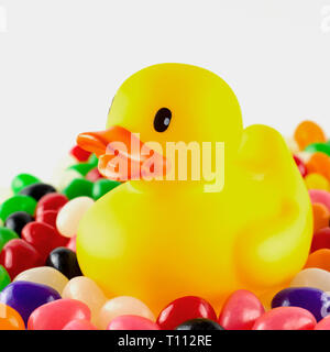 Close up of a toy rubber duck surrounded by jelly beans against  a white background.  Square crop. Stock Photo