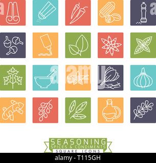 Collection of square colored spices, herbs, condiments and seasoning vector icons Stock Vector
