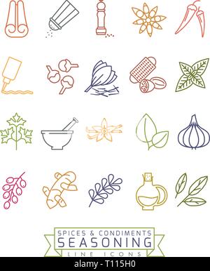 Spices, condiments and seasoning vector color line icon set Stock Vector