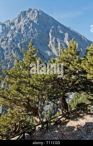 Very high mountain peaks around Samaria gorge, south west part of Crete island, Greece Stock Photo