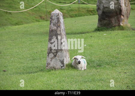 Avebury Stock Photo