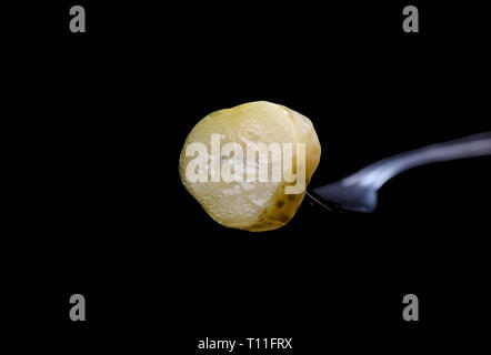 Slice of pickled cucumber on fork isolated on a black background. Copy space. Stock Photo