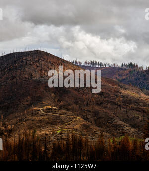 Storm clouds passing over a burned hillside a few months after the CampFire that hit Butte County, California in 2018. Stock Photo