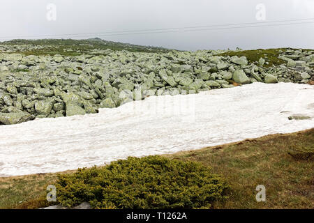 Panorama with green hills of Vitosha Mountain from Cherni Vrah Peak, Sofia City Region, Bulgaria Stock Photo