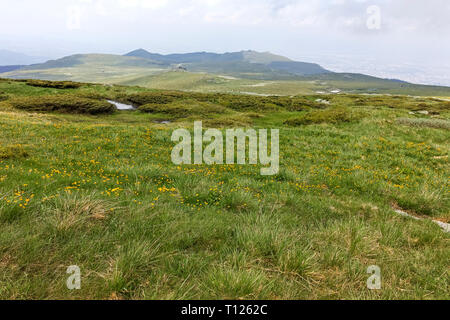 Panorama with green hills of Vitosha Mountain from Cherni Vrah Peak, Sofia City Region, Bulgaria Stock Photo