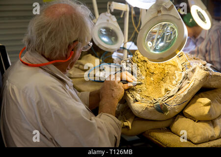 Volunteers extract the bones from rock at the dinosaur bone preparation lab at The Australian Age Of Dinosaurs, Winton, Queensland. Stock Photo