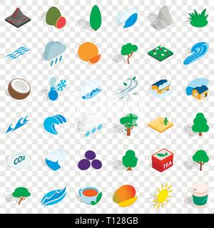 Big tree icons set, isometric style Stock Vector