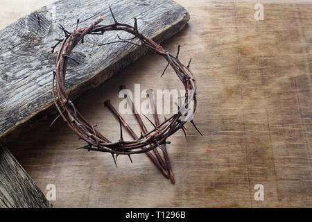 112 Crown Thorns High Res Illustrations - Getty Images