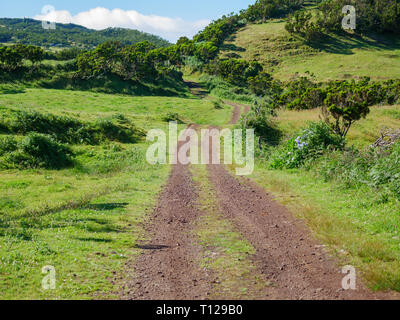 Image of a track across the fields leading to a vanishing point in the image center Stock Photo