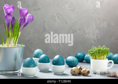 Easter composition - eggs naturally dyed with the help of a red cabbage, quail eggs, crocuses and a cress in a cup on a gray concrete background Stock Photo
