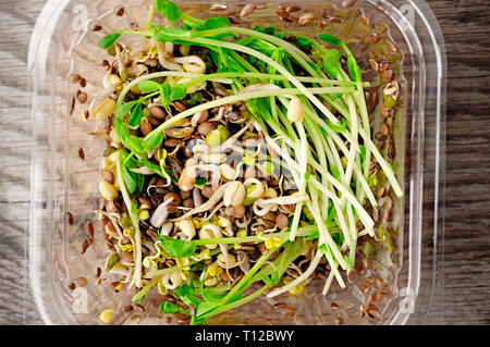 Salad of germinated seeds of flax pea lentils and other grains. Macrobiotic food concept. Stock Photo